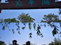 -绿堤公园