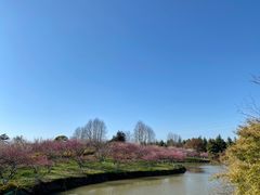 -上海海湾国家森林公园