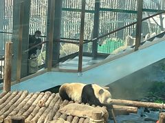 -大连森林动物园