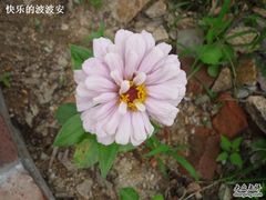 -云峰山自然风景区