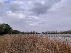 -长春市南湖公园