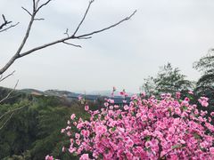 -天目湖御水温泉·度假酒店