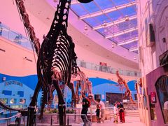 -陕西自然博物馆