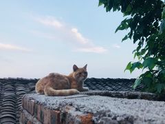 -远山有窑
