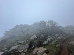 -灵山