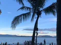 -深圳湾公园(南山区)