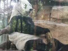 -成都动物园