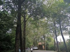 -白鹭湾湿地公园