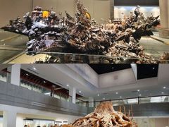 -乐山乌木文化博览苑