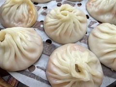 -莱莱小笼·乔艾