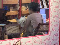 -PIGGYOO人生四格漫画店(朝外店)