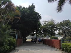 -广东科技学院(南城校区)
