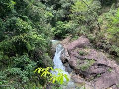 -广州白江湖森林公园