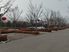 -东郊湿地公园