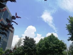 -素满香·食养自助(建邺万达店)