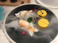 网红小鲸鱼-富临美食