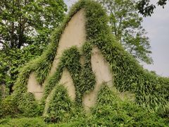 -广州市流溪河国家森林公园