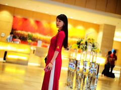 -芽庄喜来登水疗酒店