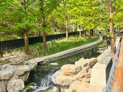 -白水寺森林公园