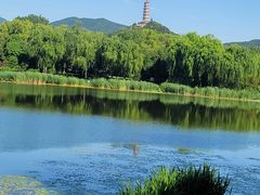 -北坞公园