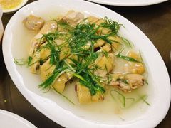 -新陶陶酒家