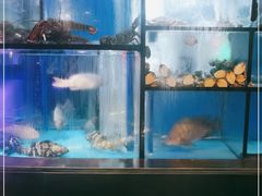 水产区-钟菜·粤菜点心·宴请(海上世界·汇港二期店)