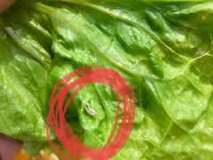 -老炉家木炭烤肉(长江国际店)