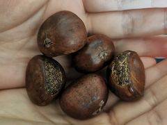 -栗满秋(燕丰西坝河店)