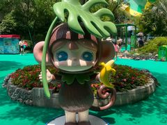 -苏州乐园森林水世界