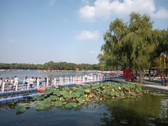 -北陵公园