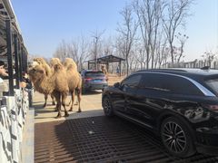 -南京金牛湖风景区