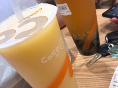 -CoCo都可(盐城宝龙城市广场店)