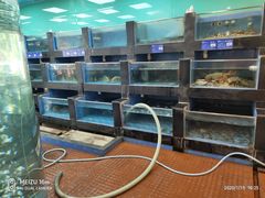 水产区-聚彩居三和酒楼•老字号粤菜(南城店)