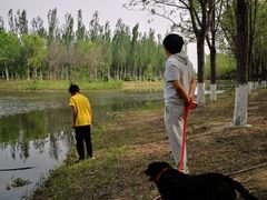 -东郊湿地公园