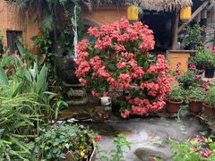 -园林美食城·本土农家菜(杨和镇店)