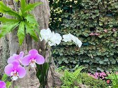 -石家庄市植物园