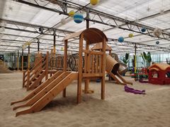 -南宫五洲植物乐园