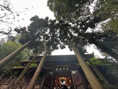 -青城山