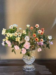 -美肤盾祛痘·问题肌头疗管理中心