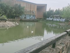 -田园东方蜜桃村的田野营地