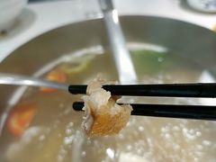 -陈记顺和潮汕牛肉火锅(韩江路店)