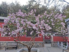 -潭柘寺景区