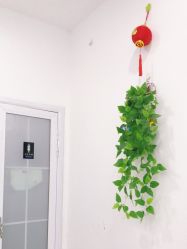 -悟空祛痘