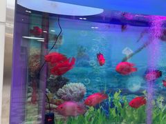 -雅悦齿科(顾村公园店)