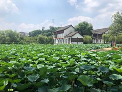-鲁镇