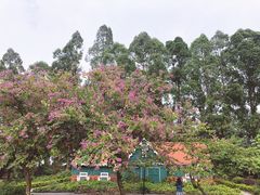 -南沙蒲洲花园