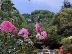 -乖乖佳花园山庄·私房菜(阿哈湖公园店)