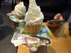 -野人先生现做冰淇淋(北京顺义祥云小镇店)