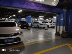 -大悦城(沈阳中街店)