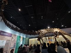 -衢州市博物馆